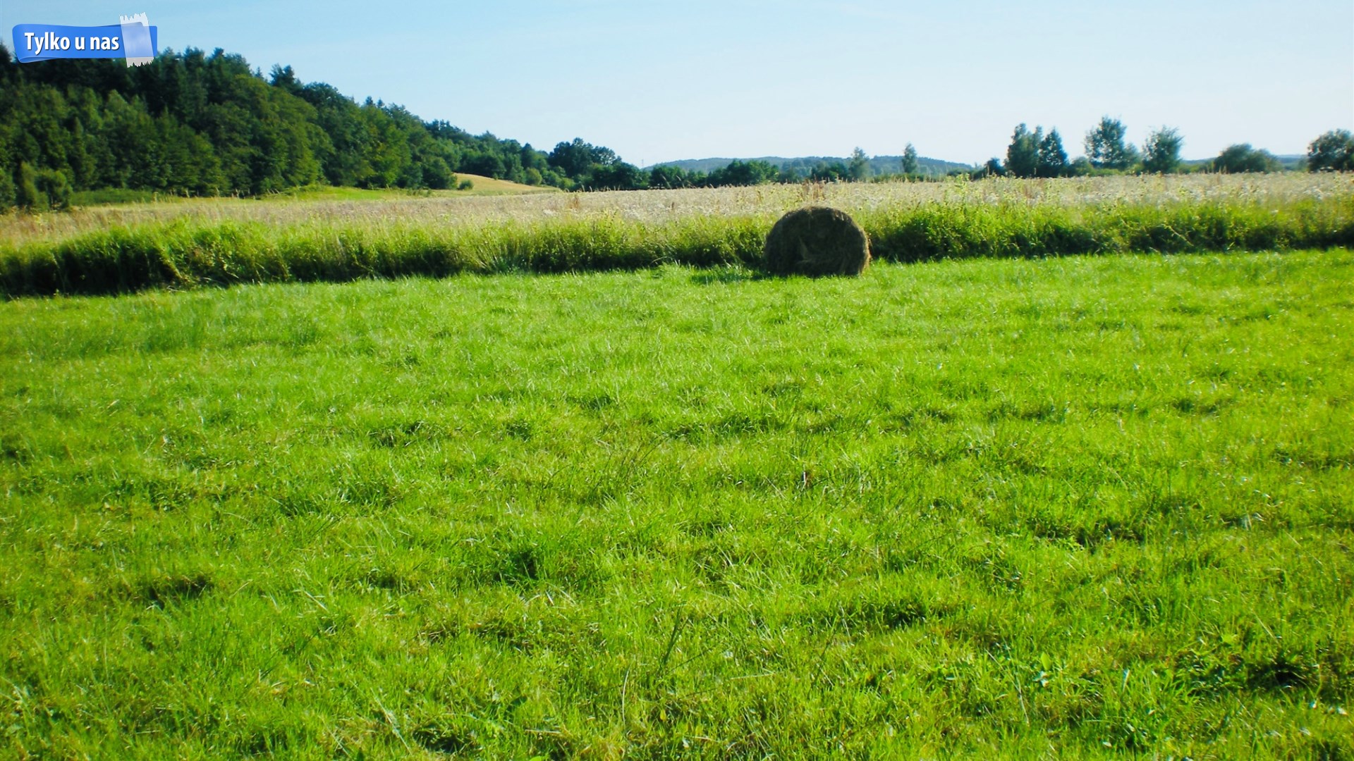 Wyjątkowa Działka Rolna na Sprzedaż – 23,22 ha