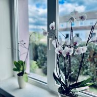 Atrakcyjna oferta sprzedaży domu 