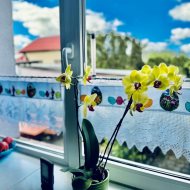 Atrakcyjna oferta sprzedaży domu 