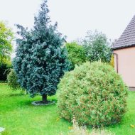 Wyjątkowy dom jednorodzinny na sprzedaż w Lęborku