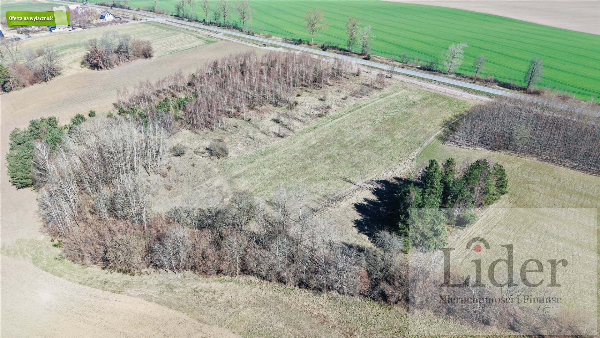 Spokój natury. Bliskość miasta