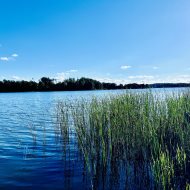 Wyjątkowa nieruchomość nad jeziorem Somińskim