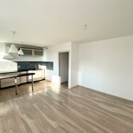 Wynajem Mieszkania – Ul. Pionierów, 47,5 m²