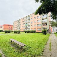 Kawalerka w centum miasta 