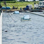 Kompleks stawów hodowlanych