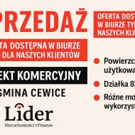 Obiekt na sprzedaż
