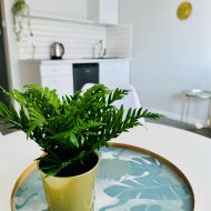 Dwa apartamenty na sprzedaż 300 m od morza