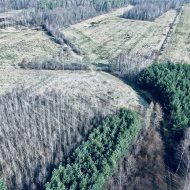Działka przy lesie z warunkami zabudowy