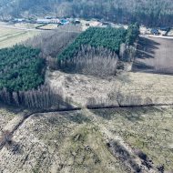 Działka przy lesie z warunkami zabudowy