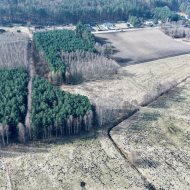 Działka przy lesie z warunkami zabudowy