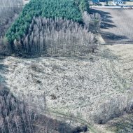 Działka przy lesie z warunkami zabudowy