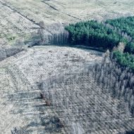 Działka przy lesie z warunkami zabudowy