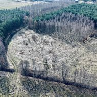 Działka przy lesie z warunkami zabudowy