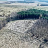 Działka przy lesie z warunkami zabudowy