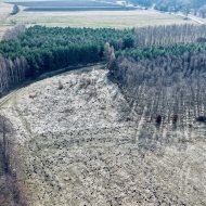 Działka przy lesie z warunkami zabudowy