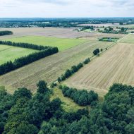 5 działek z WZ | Karlikowo Lęborskie